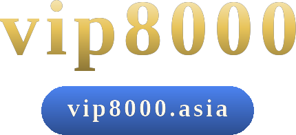 vip8000 logo